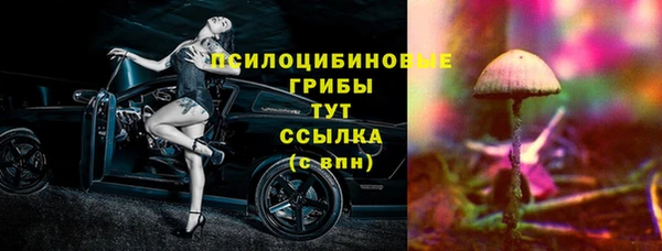 МДПВ Богданович