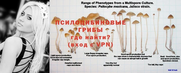МДПВ Богданович