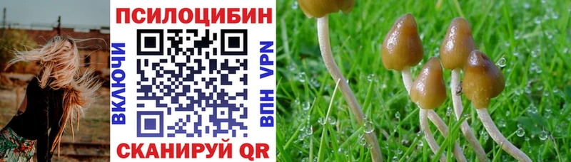 Галлюциногенные грибы Magic Shrooms  Томмот 