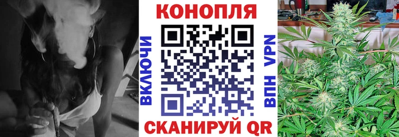 Канабис семена  Томмот 